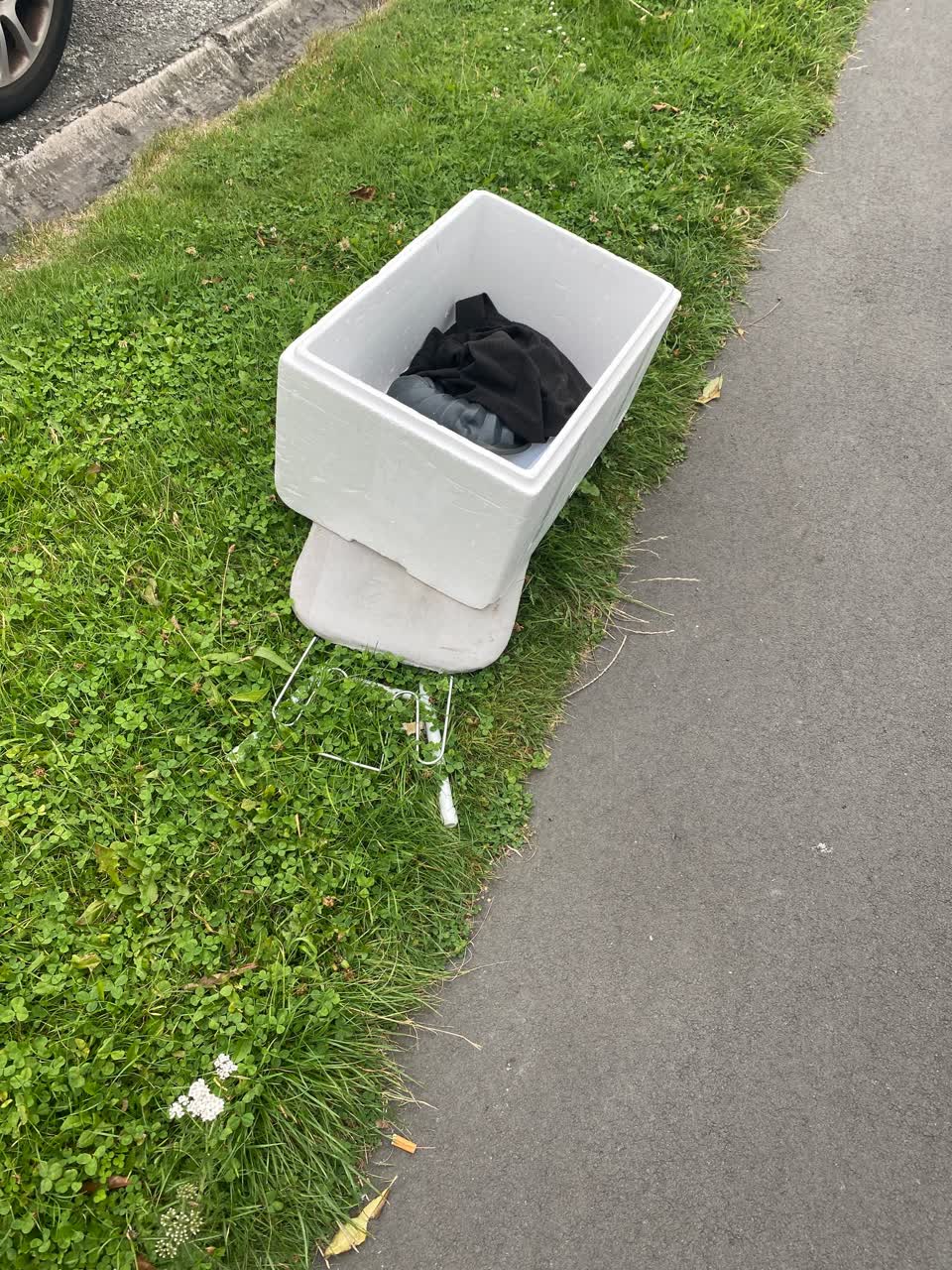 The photograph attached to this rubbish/recycling report