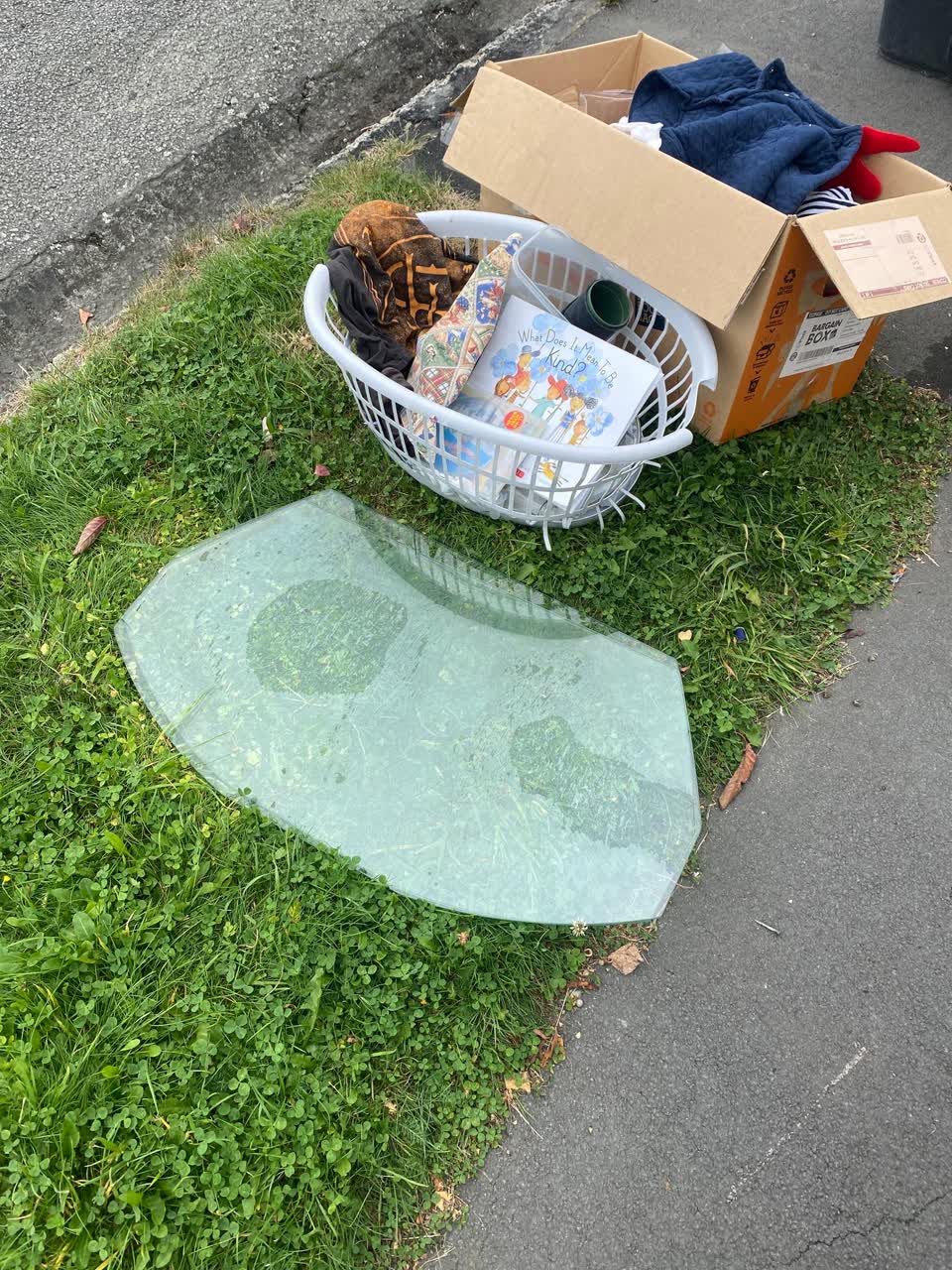 The photograph attached to this rubbish/recycling report