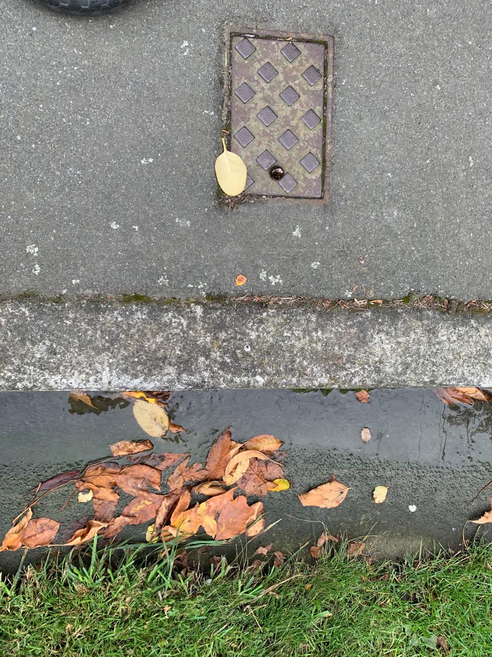 The photograph attached to this water leak report
