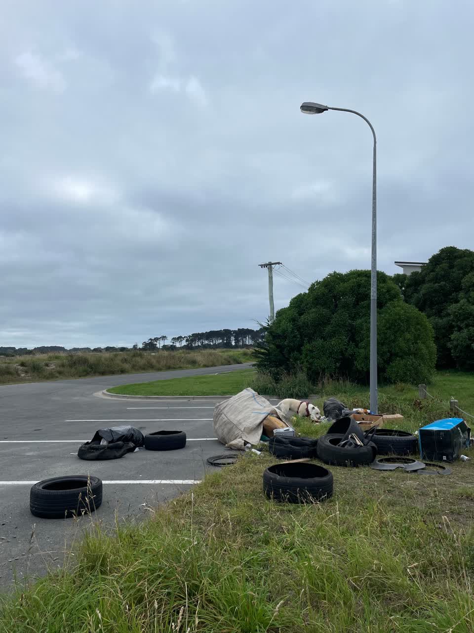 The photograph attached to this rubbish/recycling report