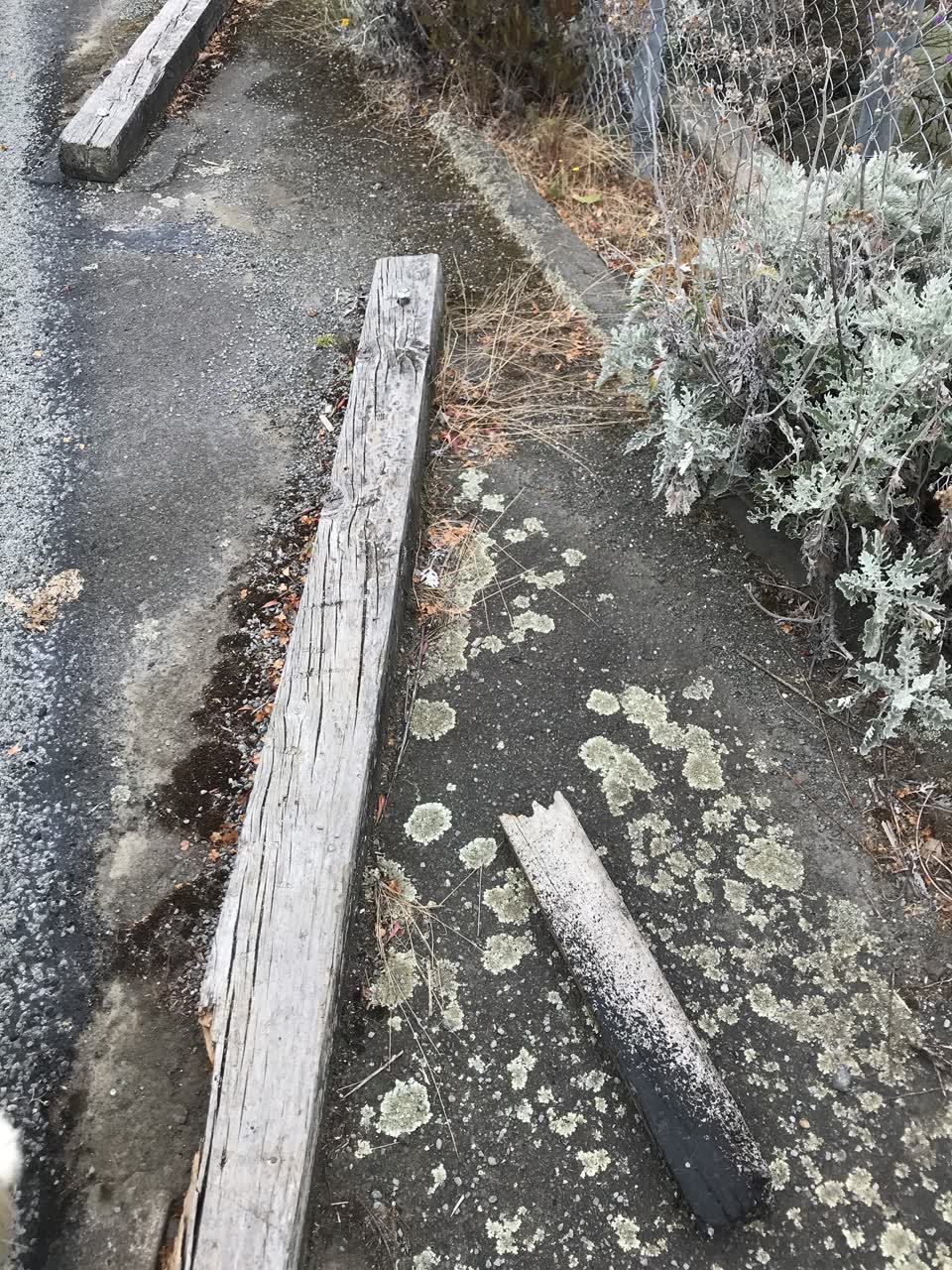 The photograph attached to this roading/streets report