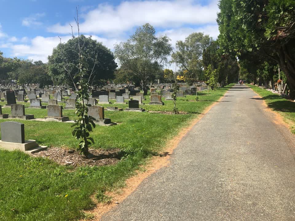 The photograph attached to this parks report
