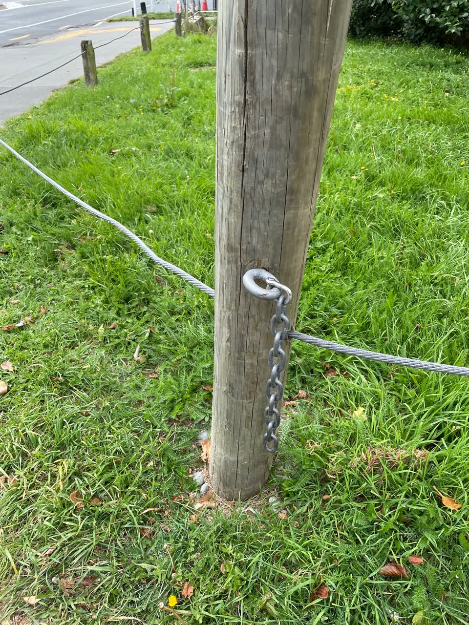 The photograph attached to this parks report