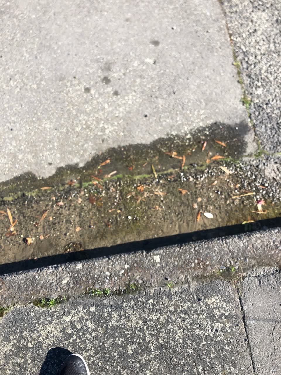 The photograph attached to this sewer - leak / blockage report