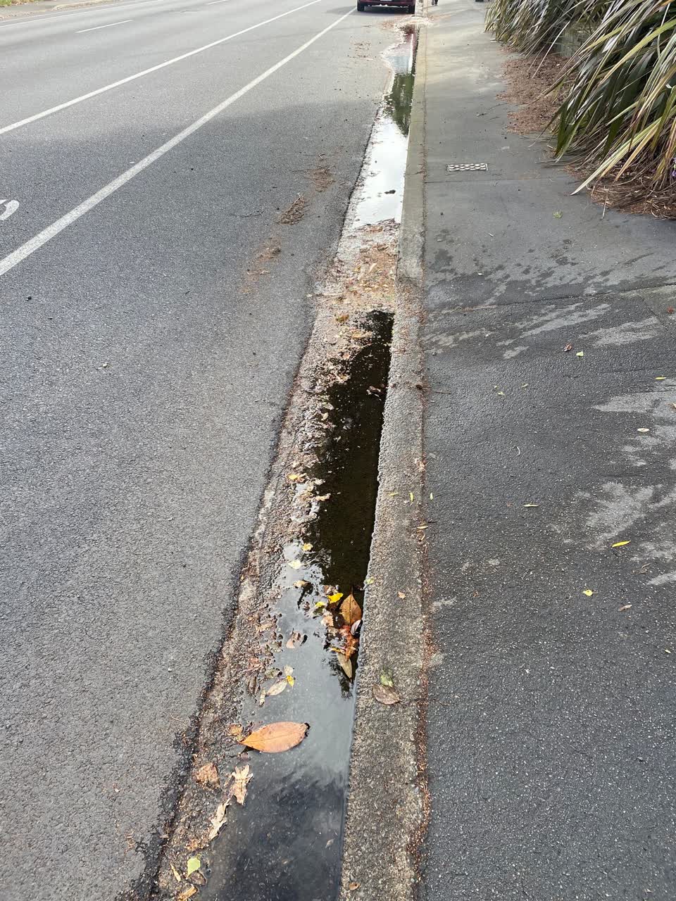 The photograph attached to this water leak report