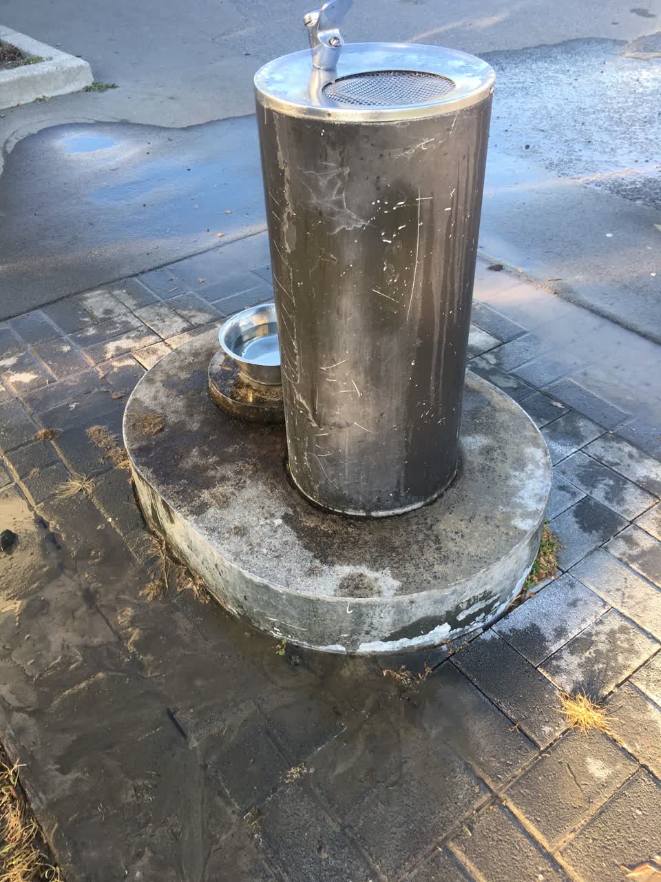 The photograph attached to this water leak report
