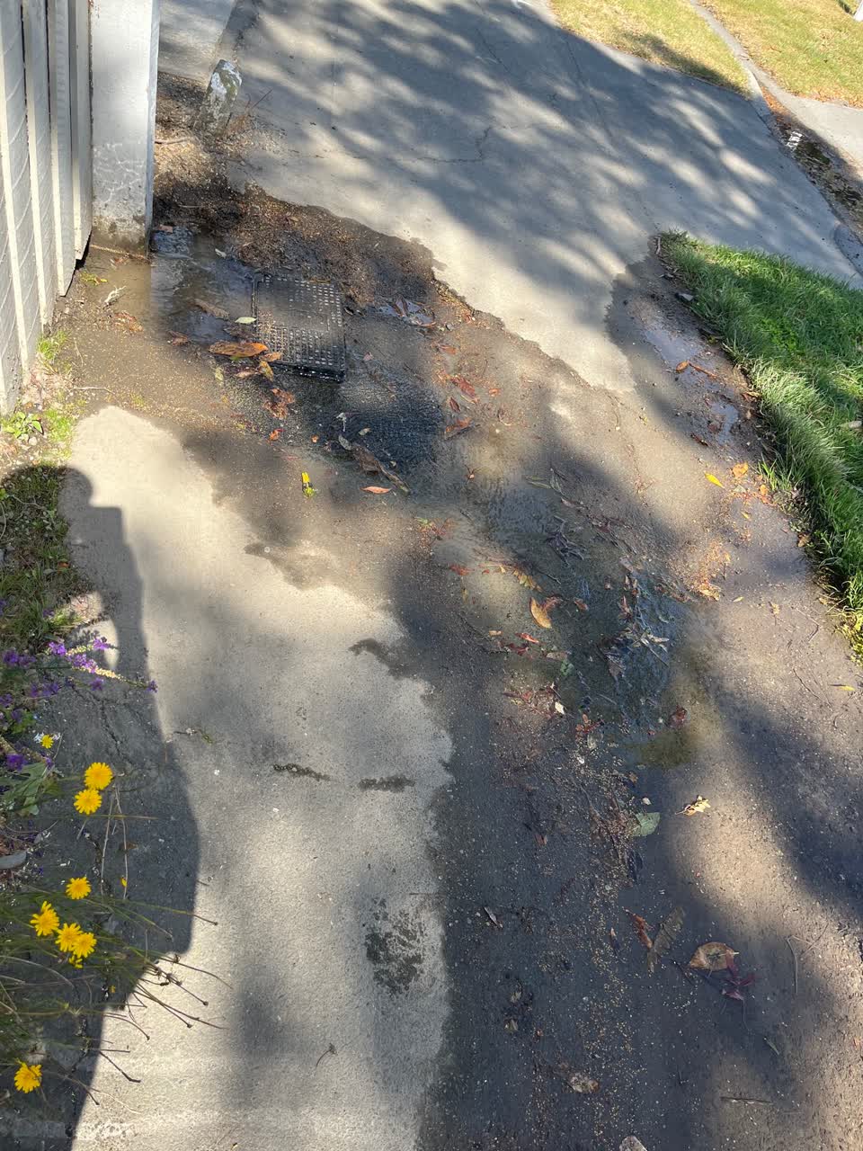 The photograph attached to this water leak report