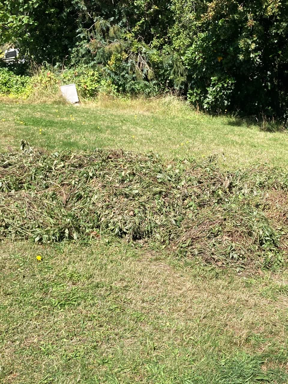 The photograph attached to this parks report