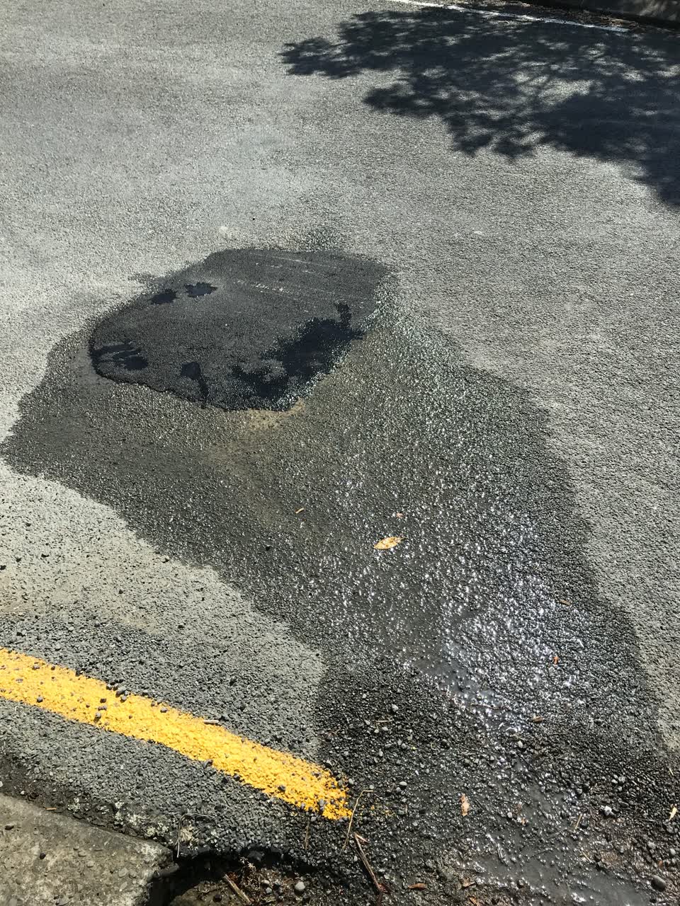 The photograph attached to this water leak report