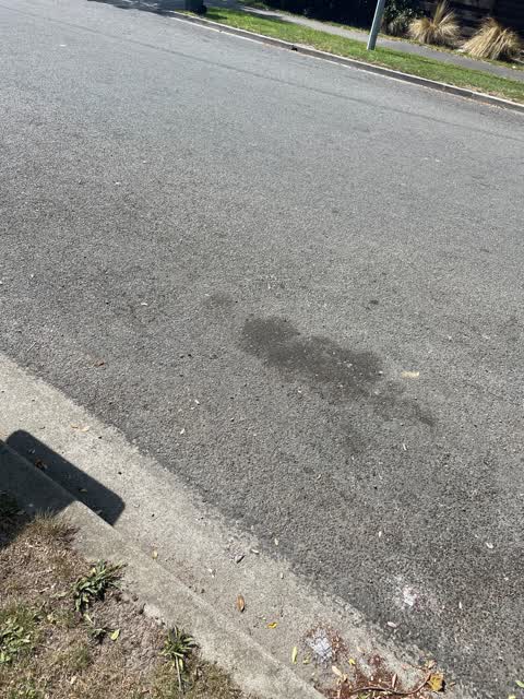 Roading/Streets, a report photo