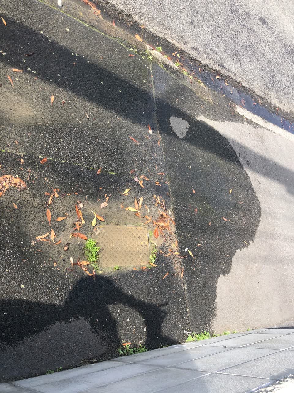 The photograph attached to this water leak report