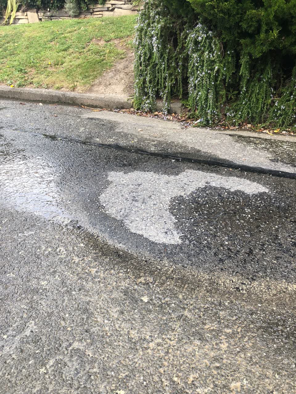 The photograph attached to this water leak report
