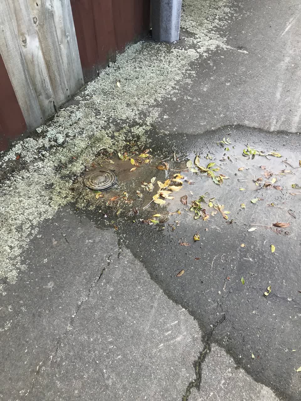 The photograph attached to this water leak report