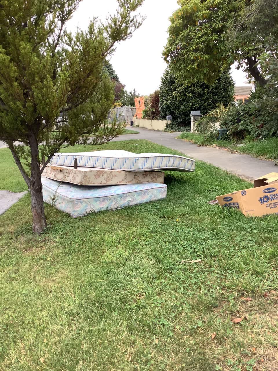 The photograph attached to this rubbish/recycling report