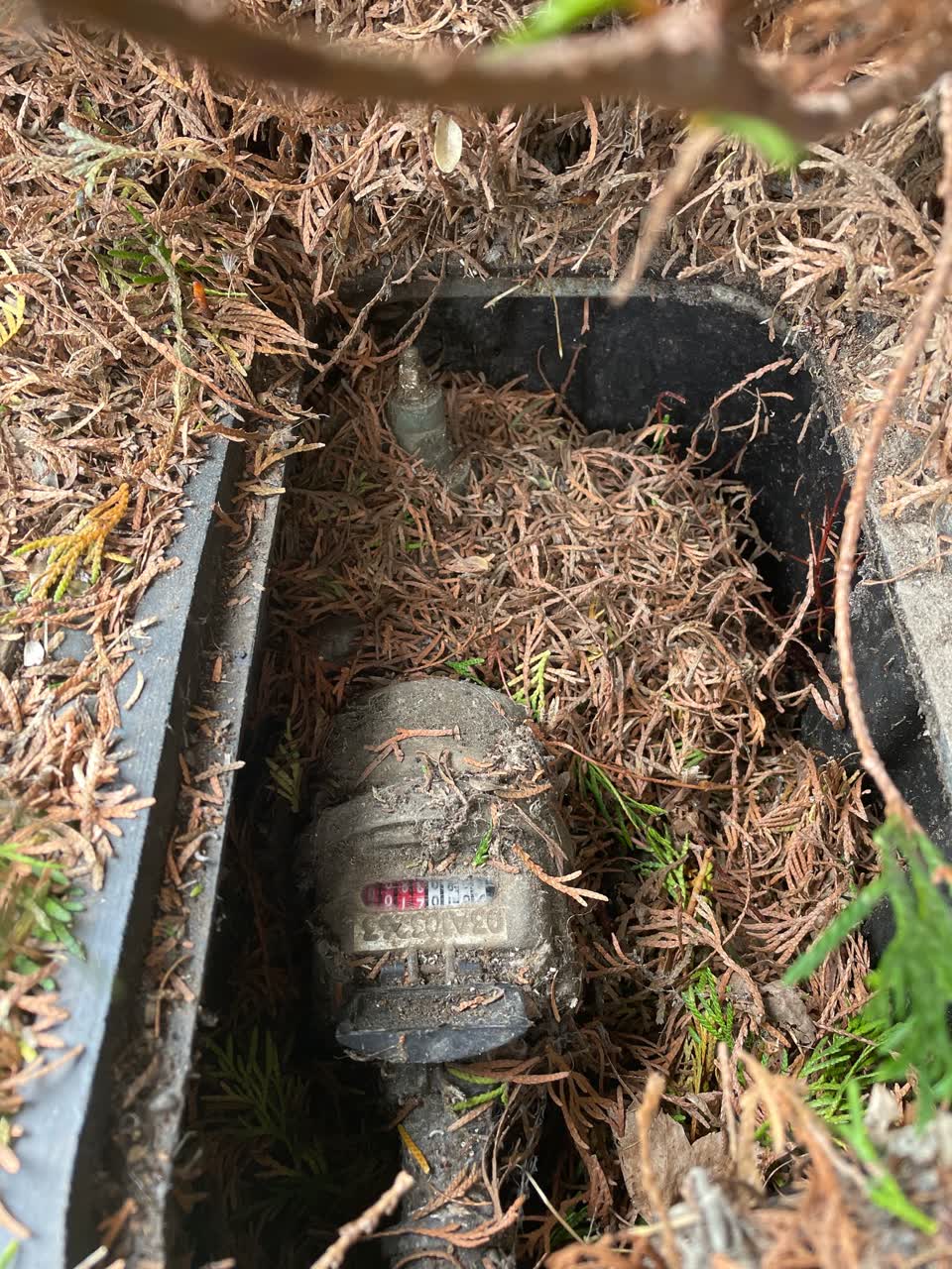 The photograph attached to this water supply report