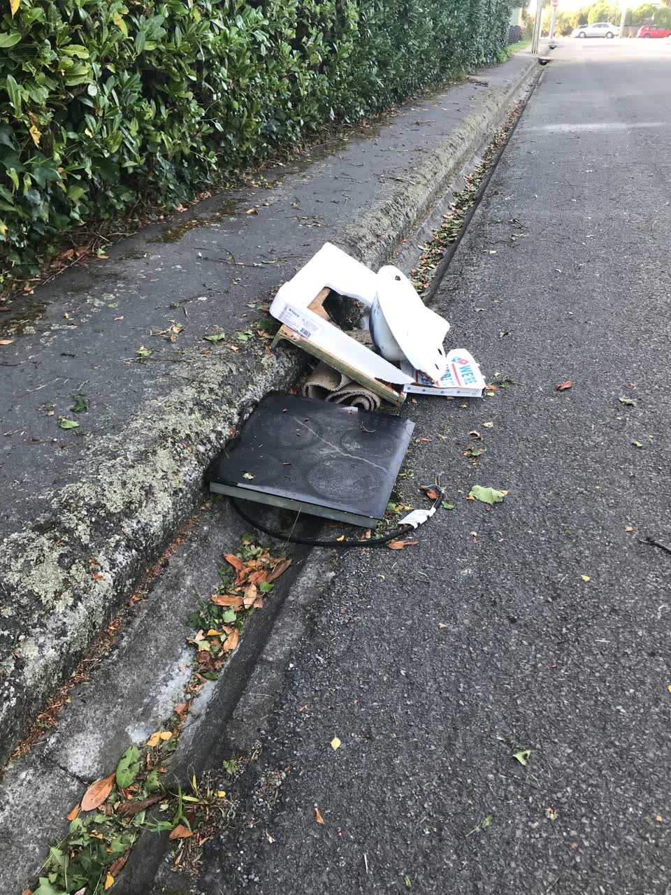The photograph attached to this rubbish/recycling report