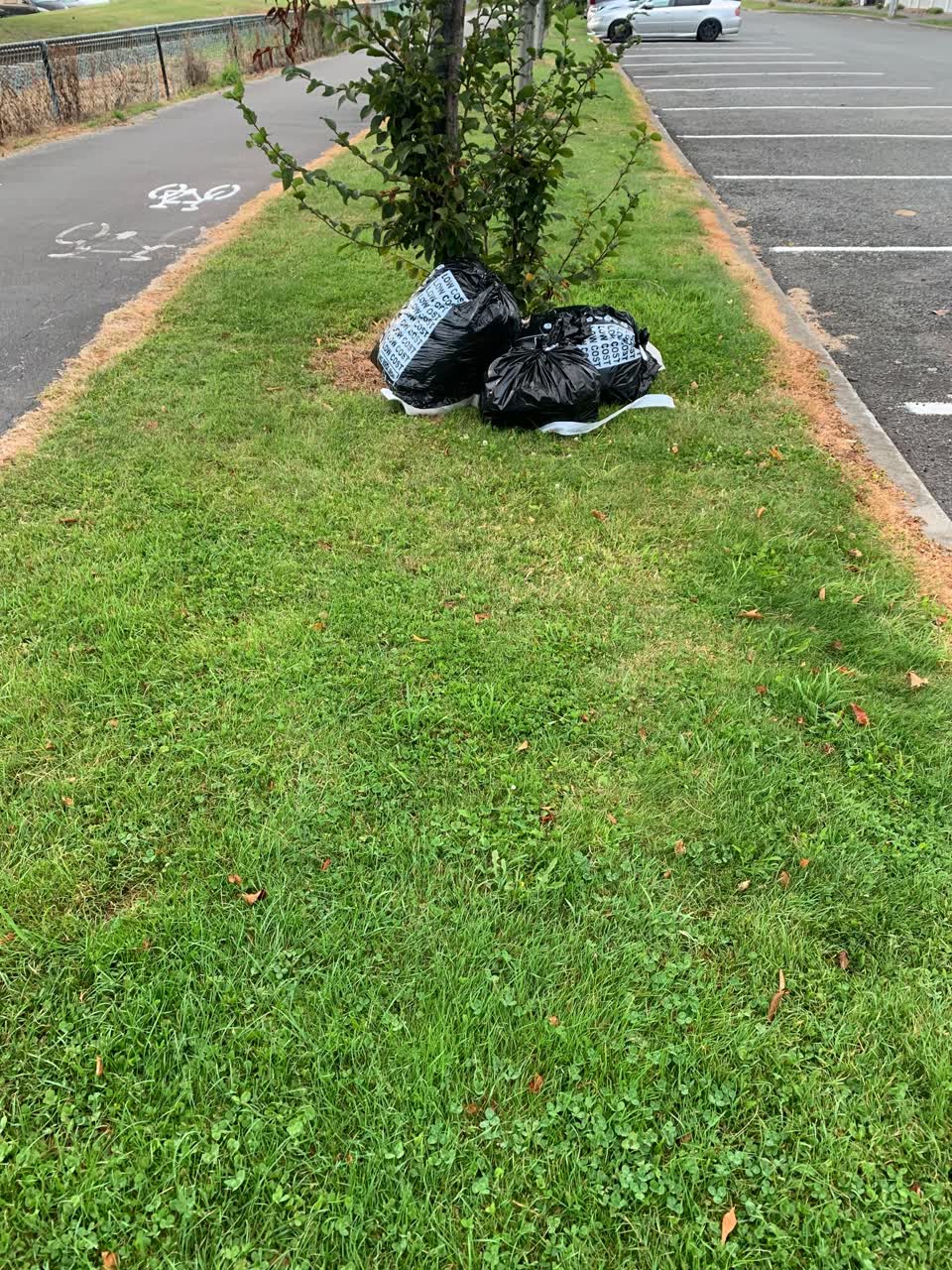 The photograph attached to this rubbish/recycling report