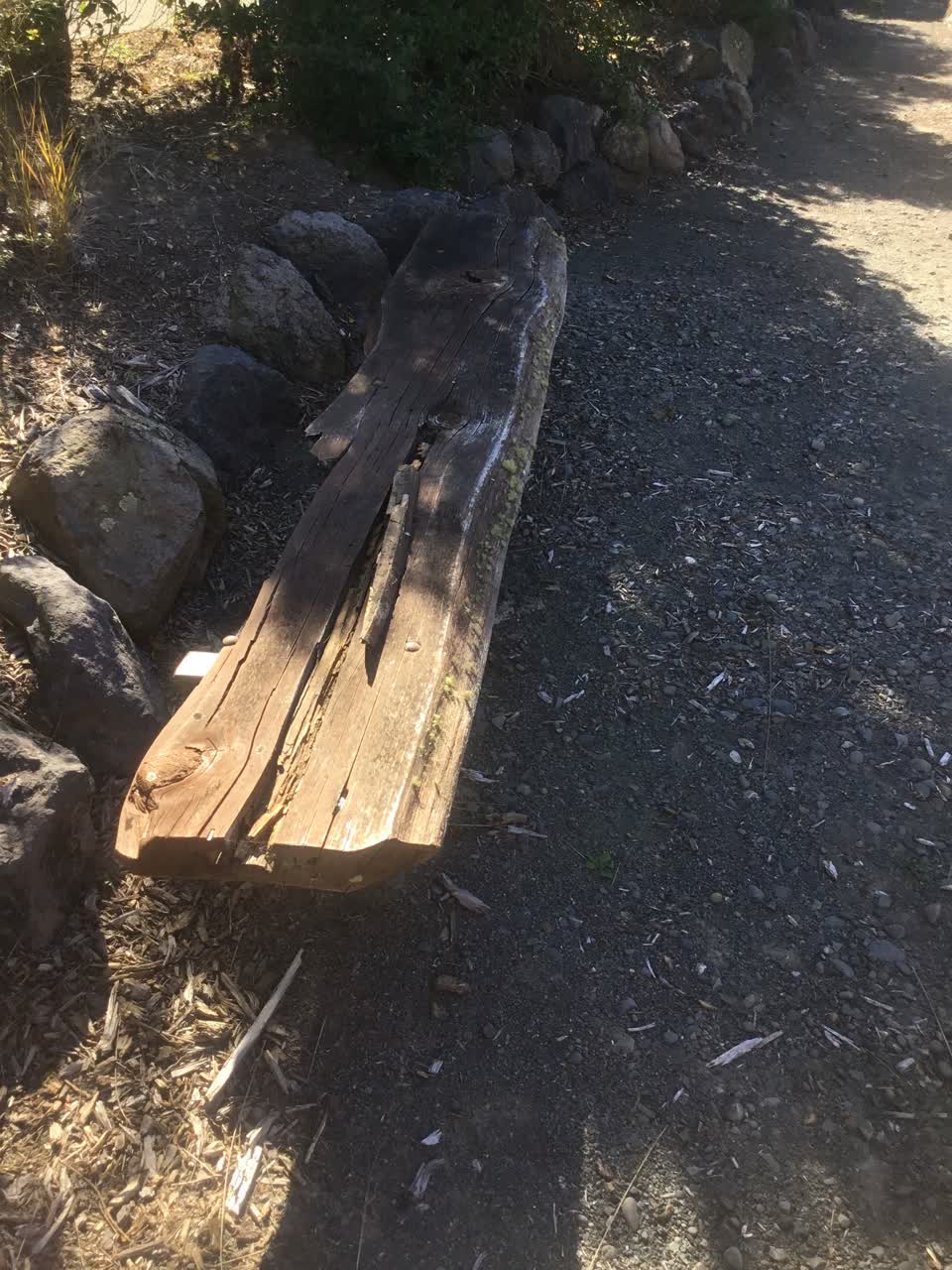 The photograph attached to this parks report