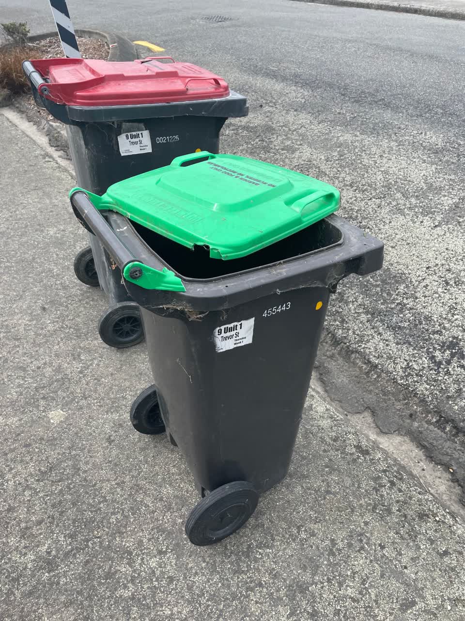 The photograph attached to this rubbish/recycling report