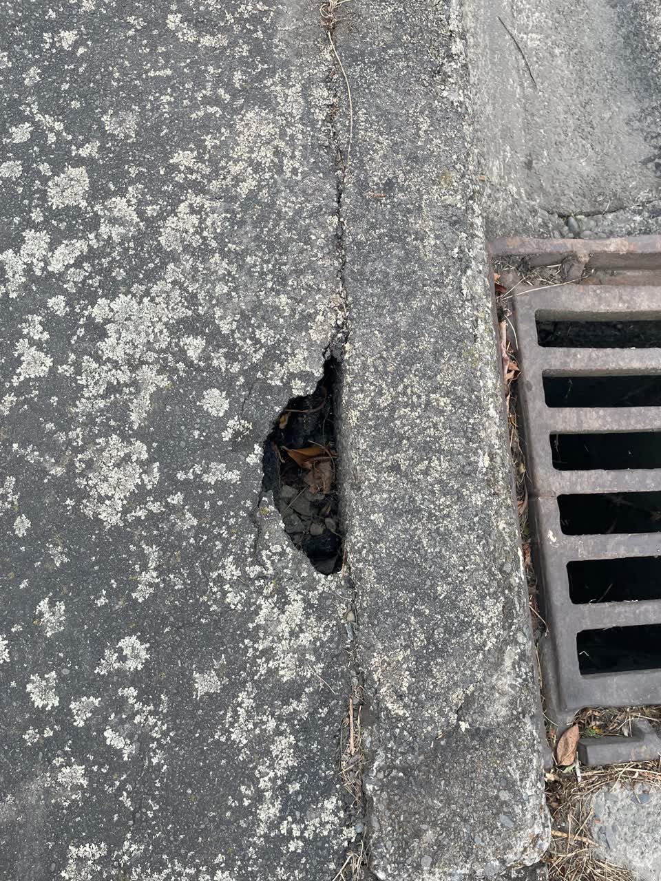 The photograph attached to this roading/streets report