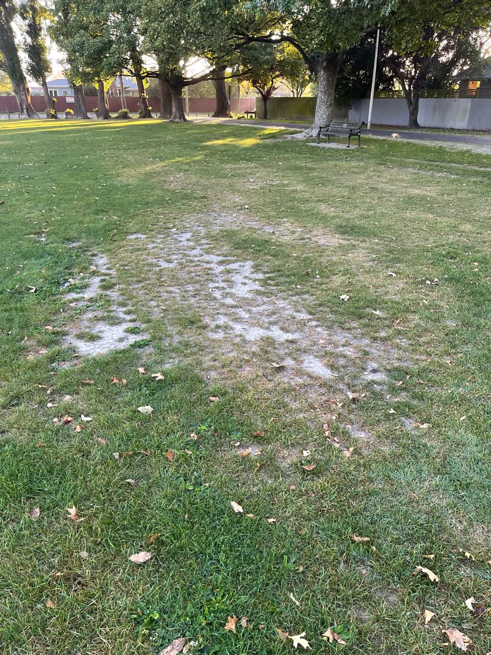 The photograph attached to this parks report