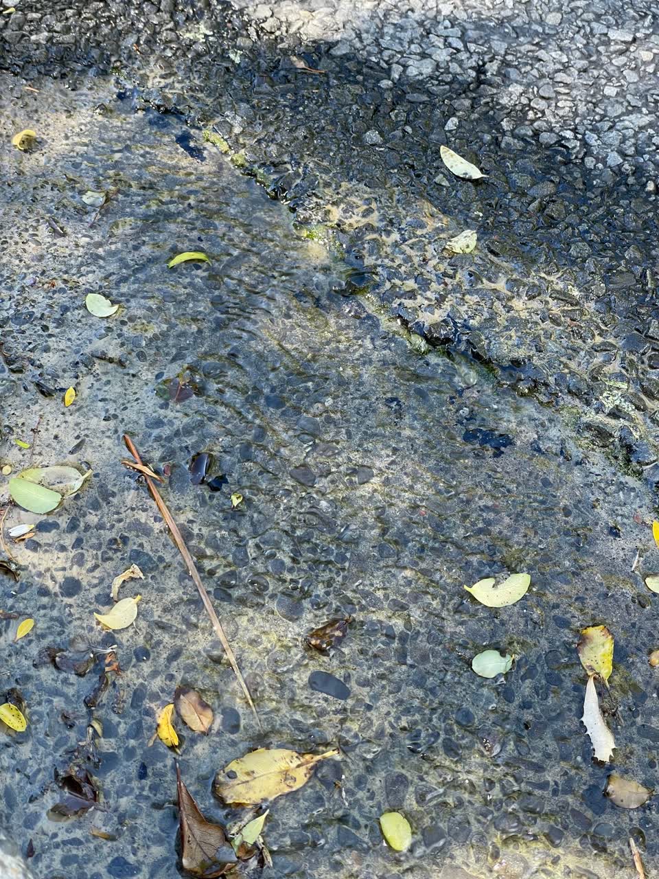 The photograph attached to this water leak report