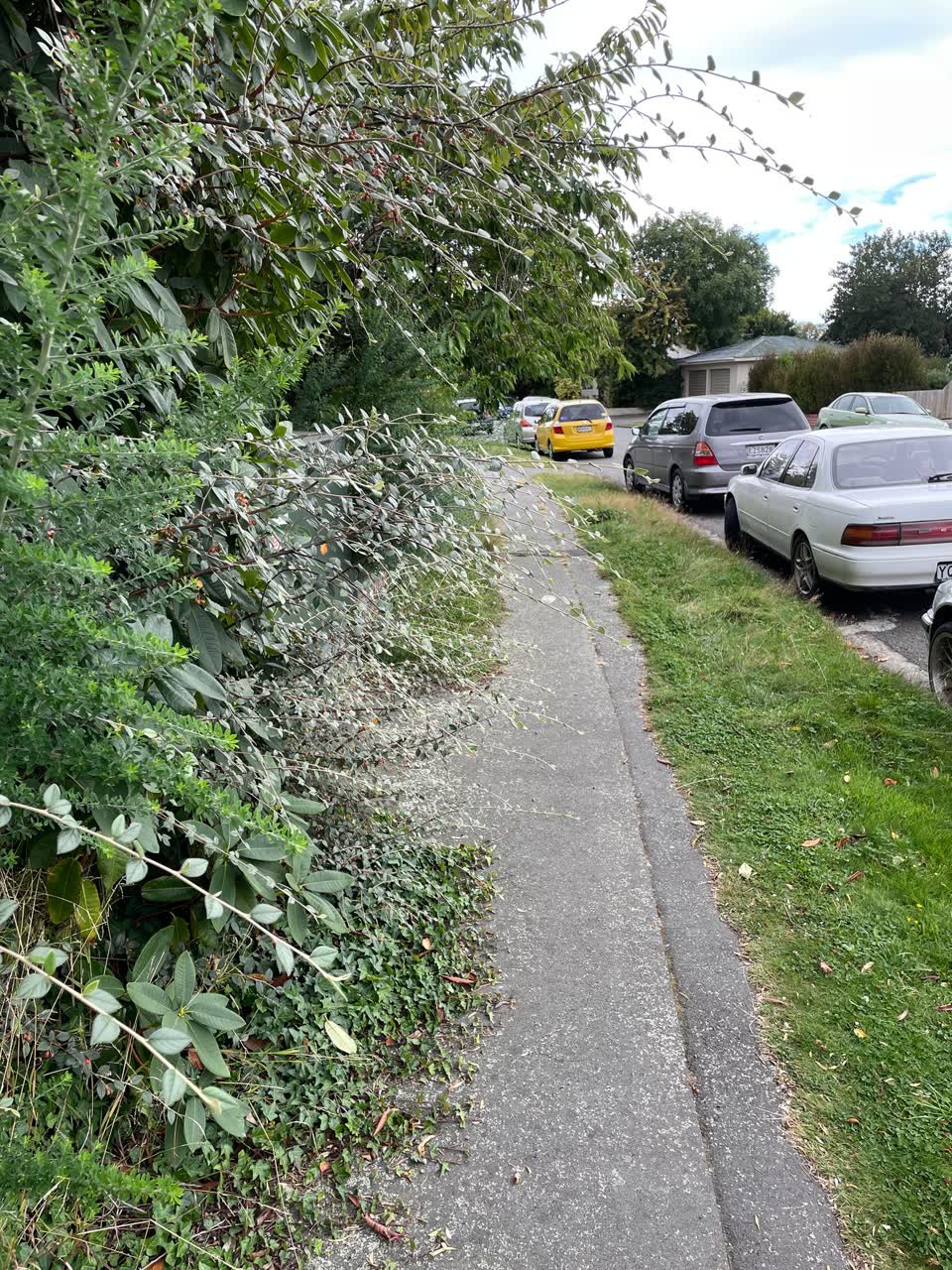 The photograph attached to this roading/streets report
