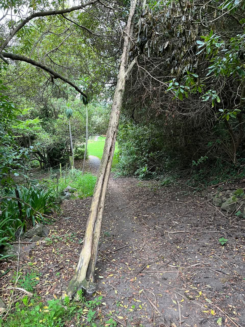 The photograph attached to this parks report