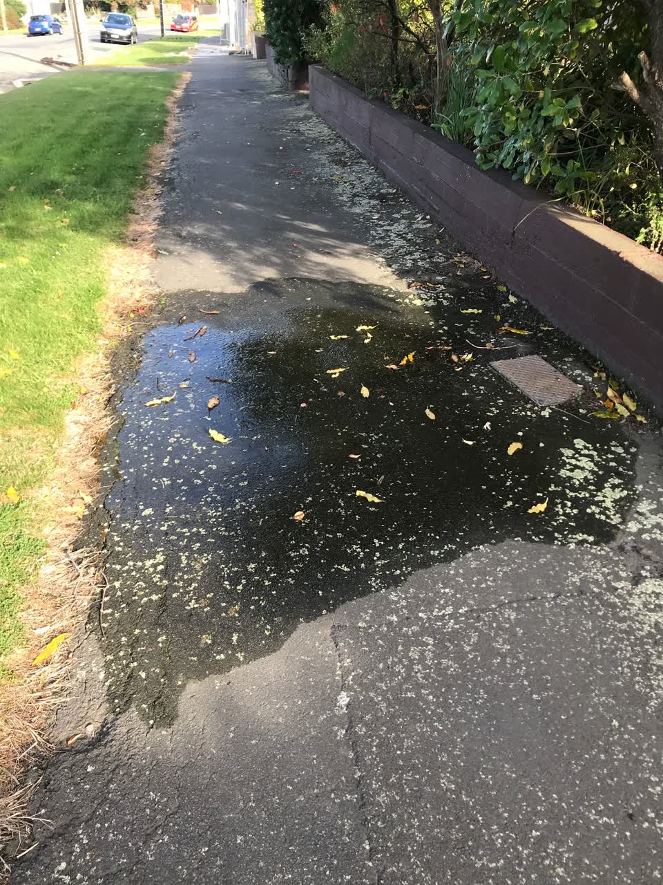 The photograph attached to this water leak report