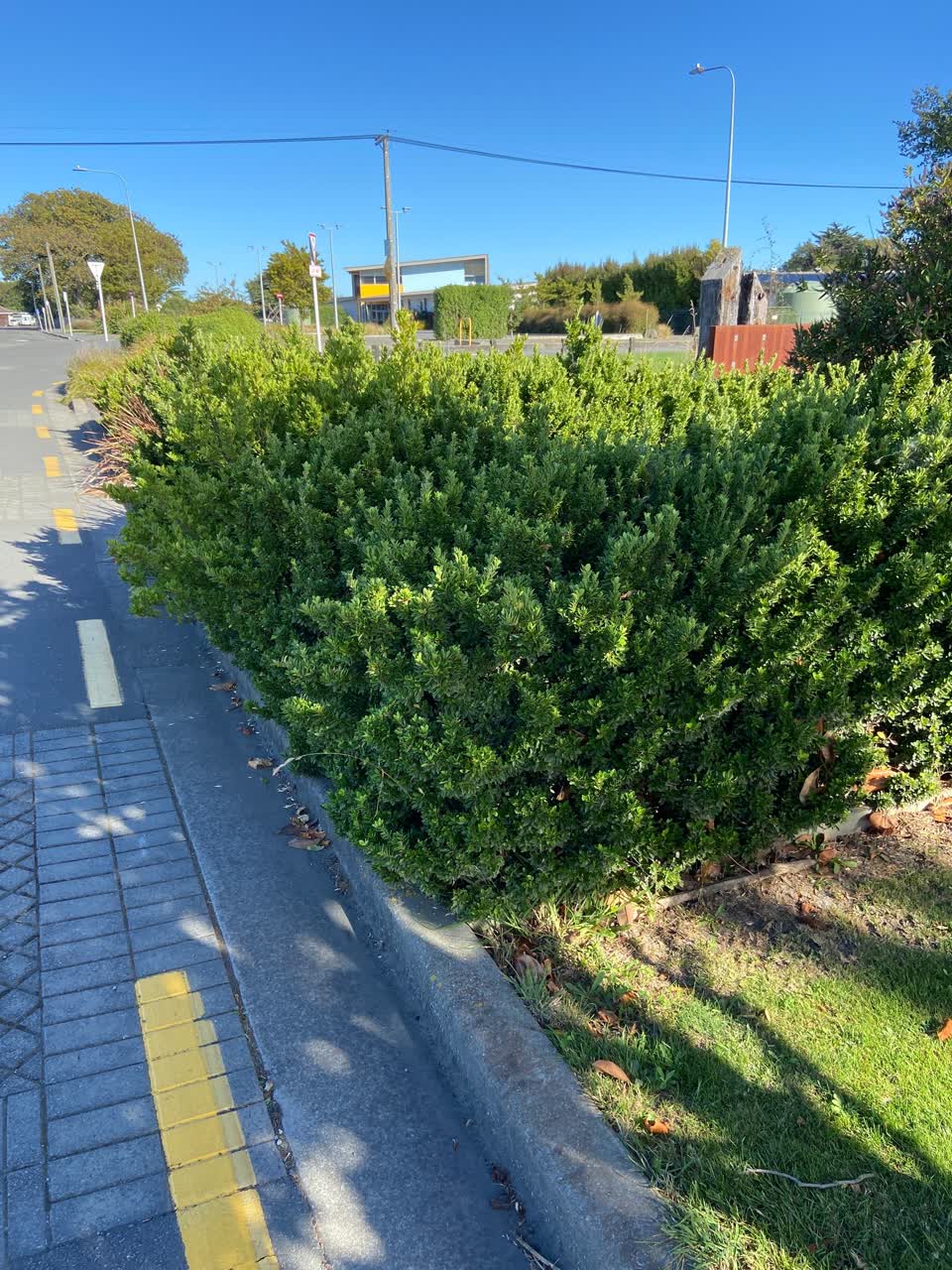 The photograph attached to this parks report