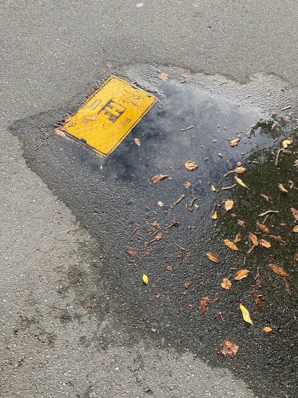 The photograph attached to this water leak report