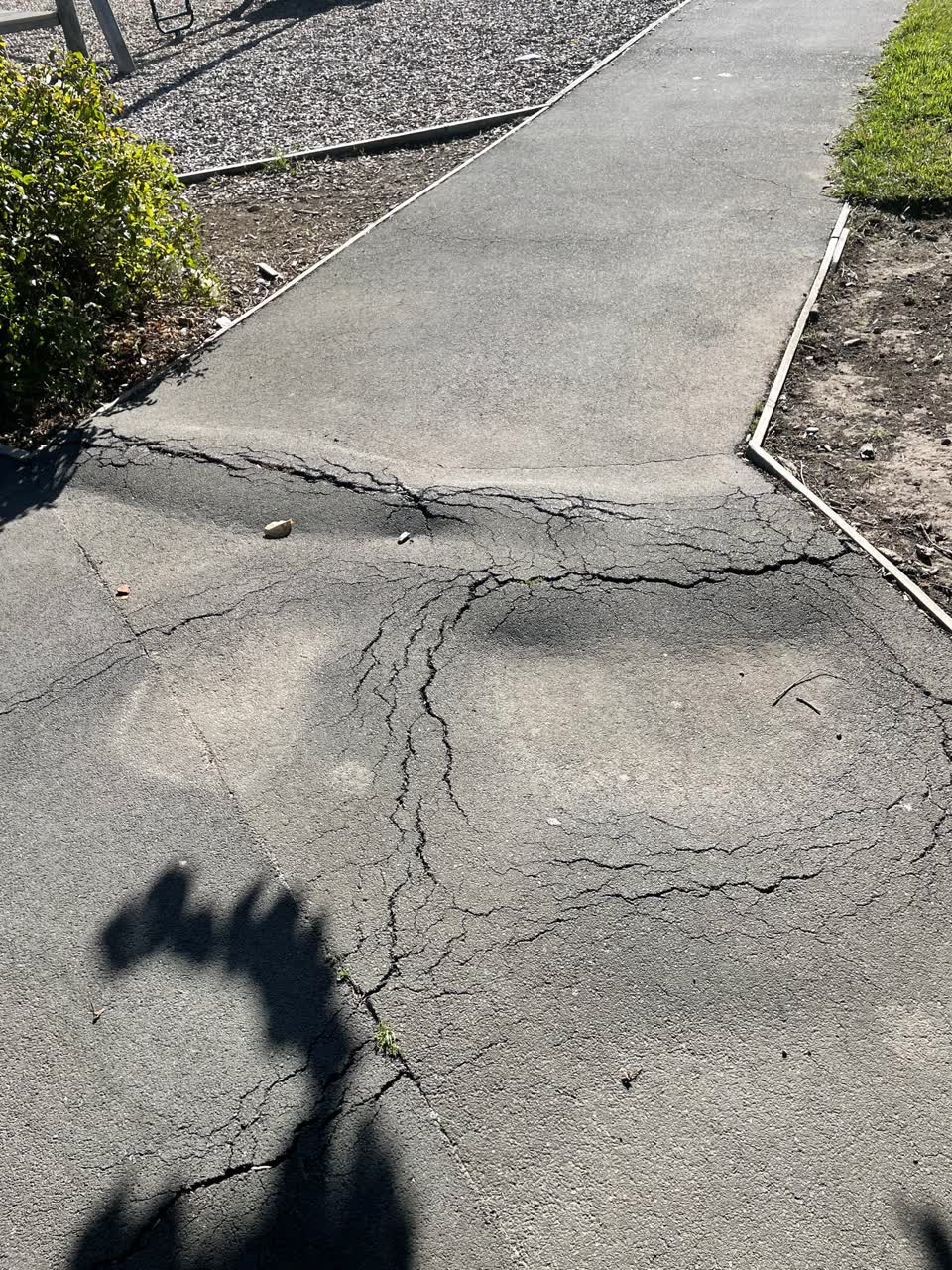 The photograph attached to this parks report
