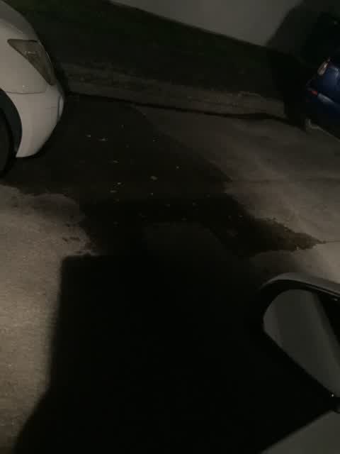 Water Leak, a report photo