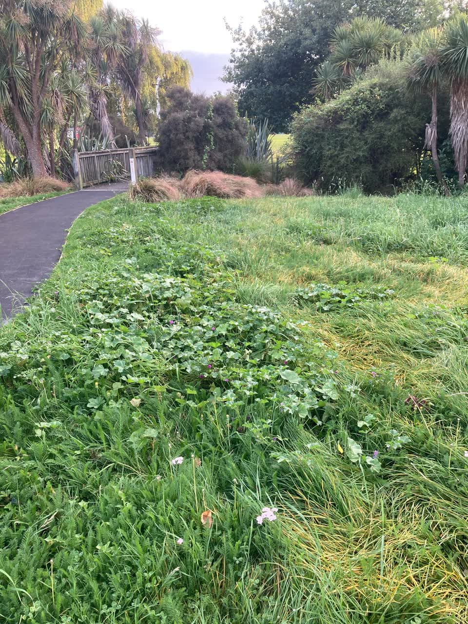 The photograph attached to this parks report