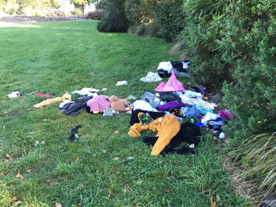The photograph attached to this rubbish/recycling report