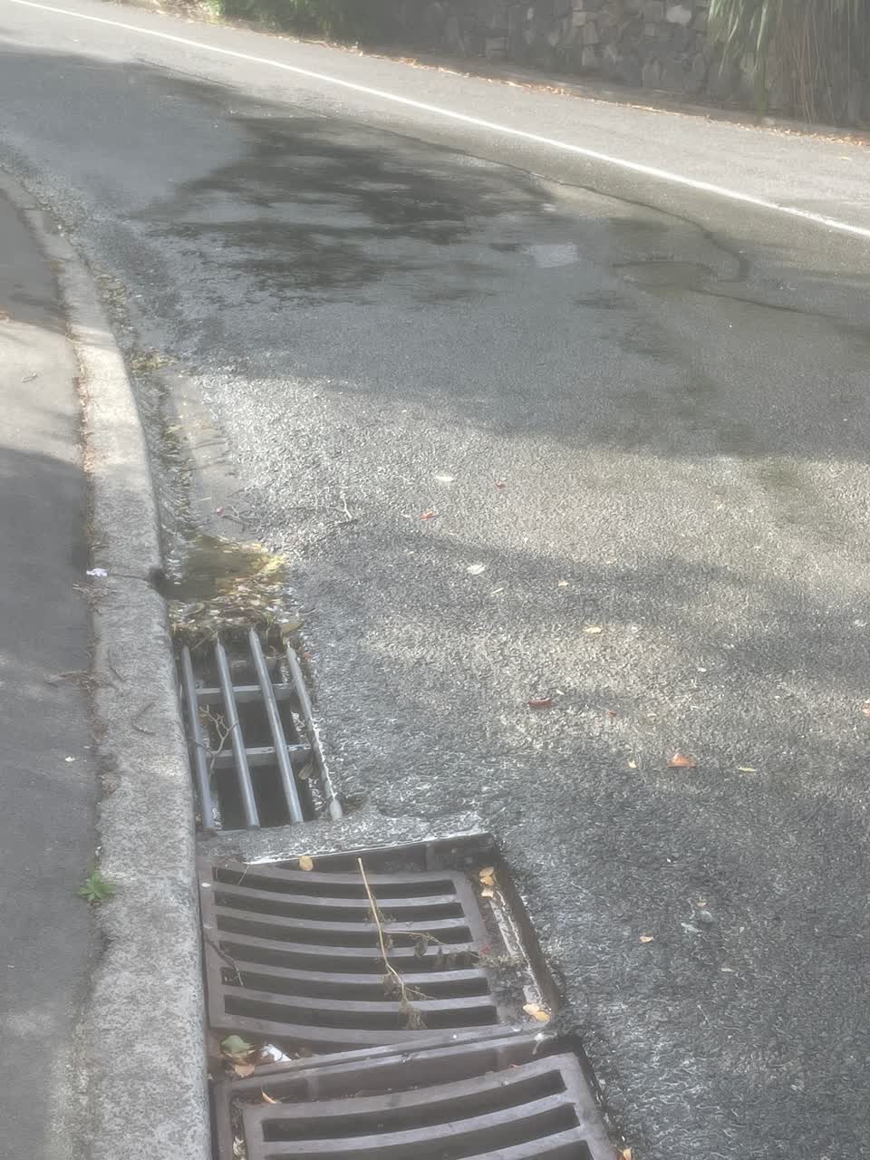 The photograph attached to this water leak report