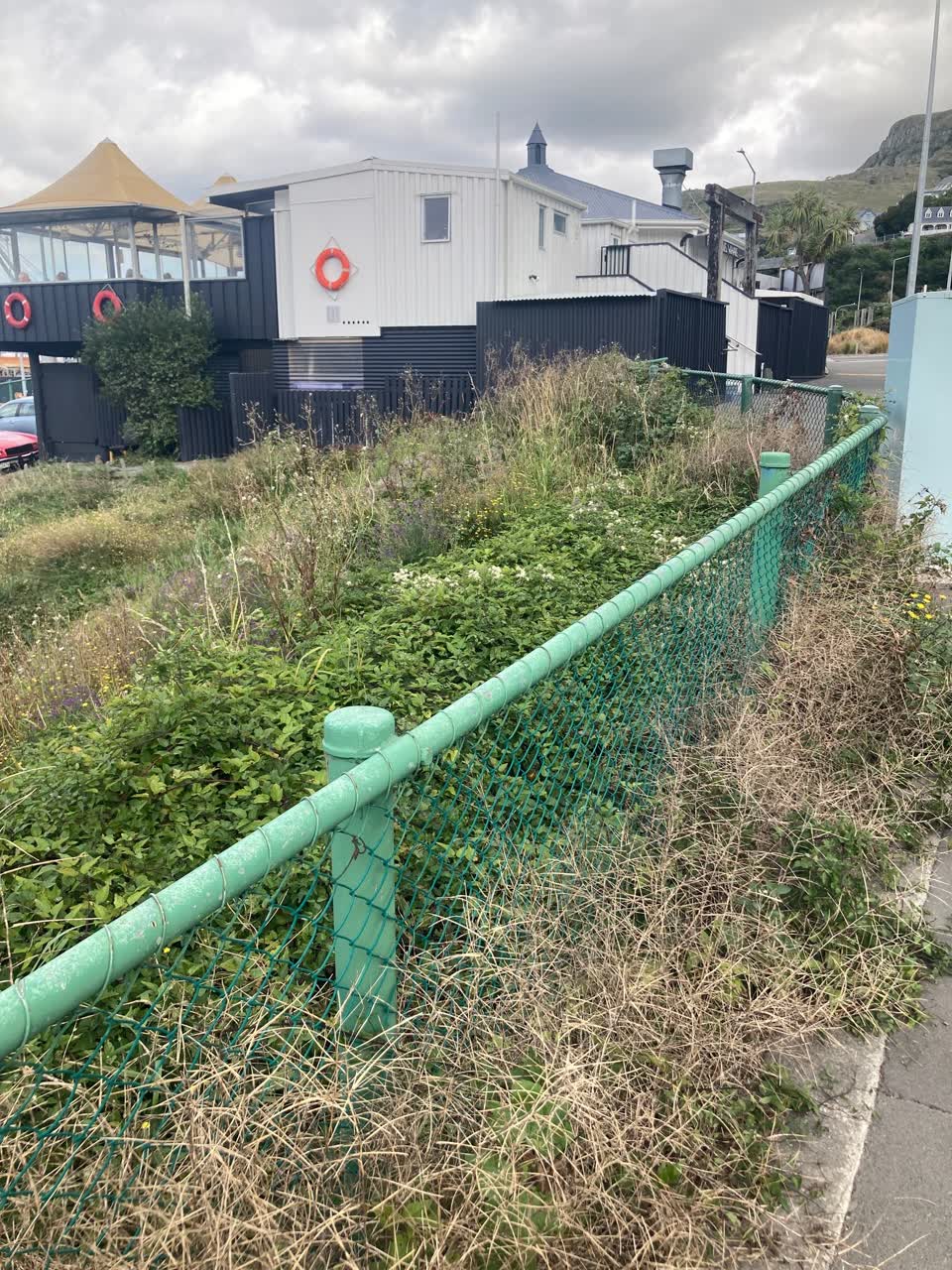 The photograph attached to this parks report
