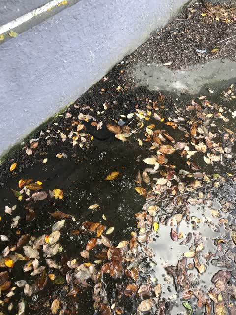 Wastewater/Stormwater, a report photo