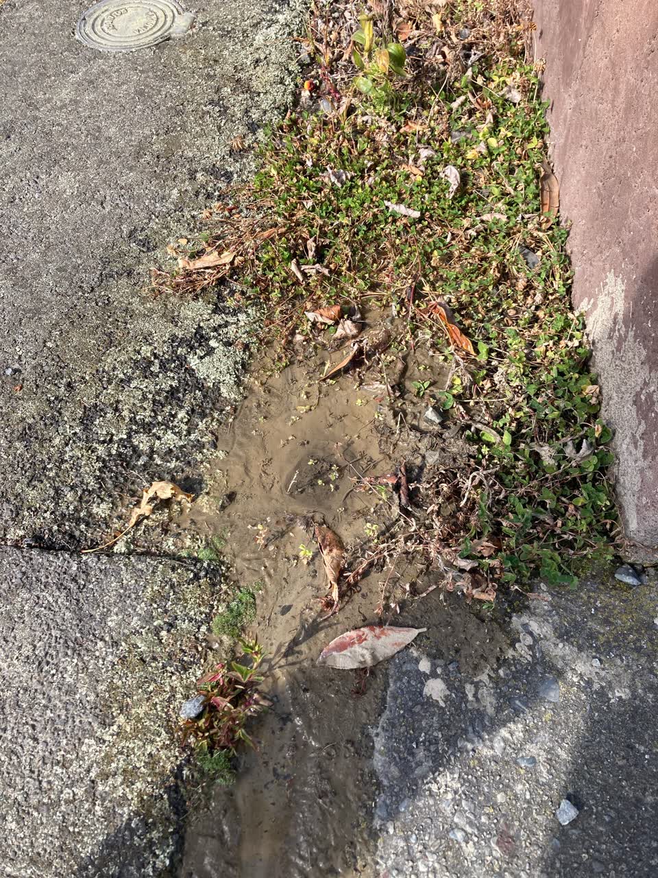 The photograph attached to this water leak report