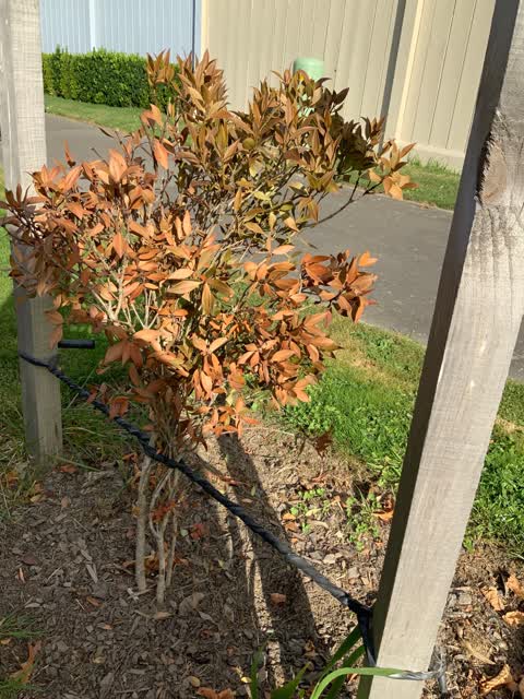 Roading/Streets, a report photo