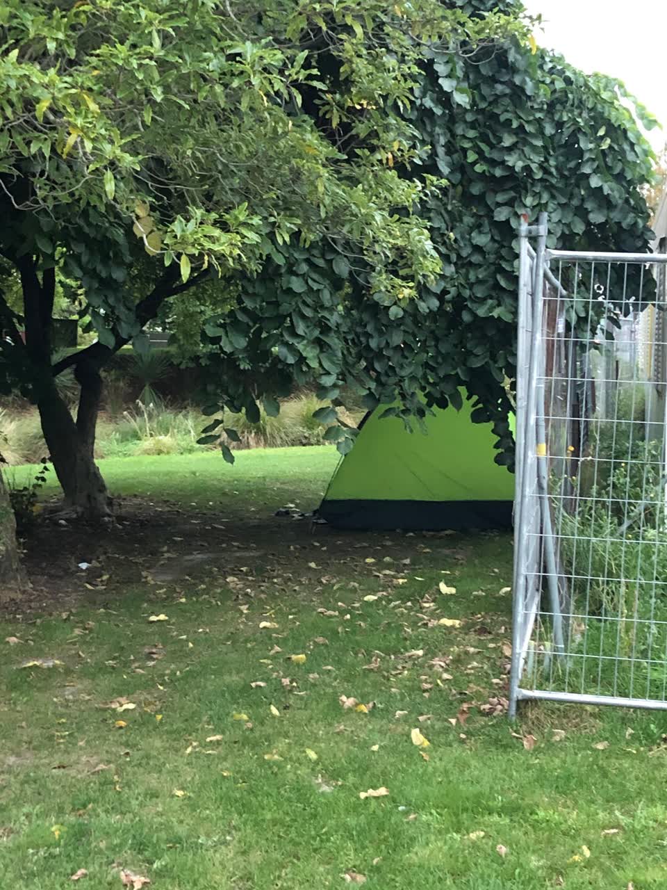 The photograph attached to this parks report