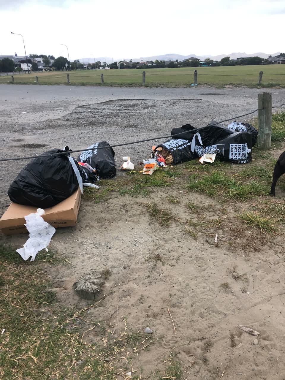 The photograph attached to this rubbish/recycling report