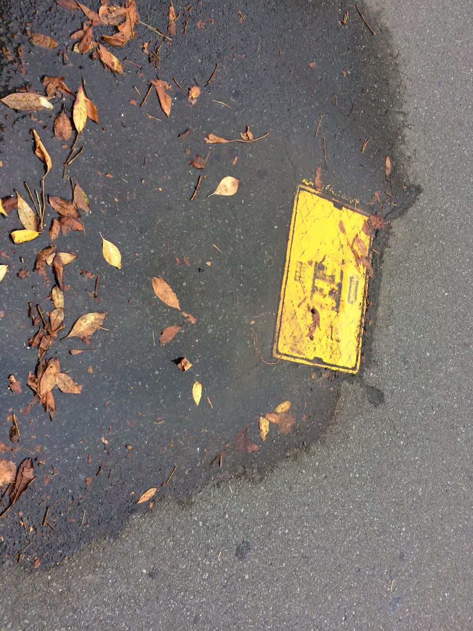 The photograph attached to this water leak report