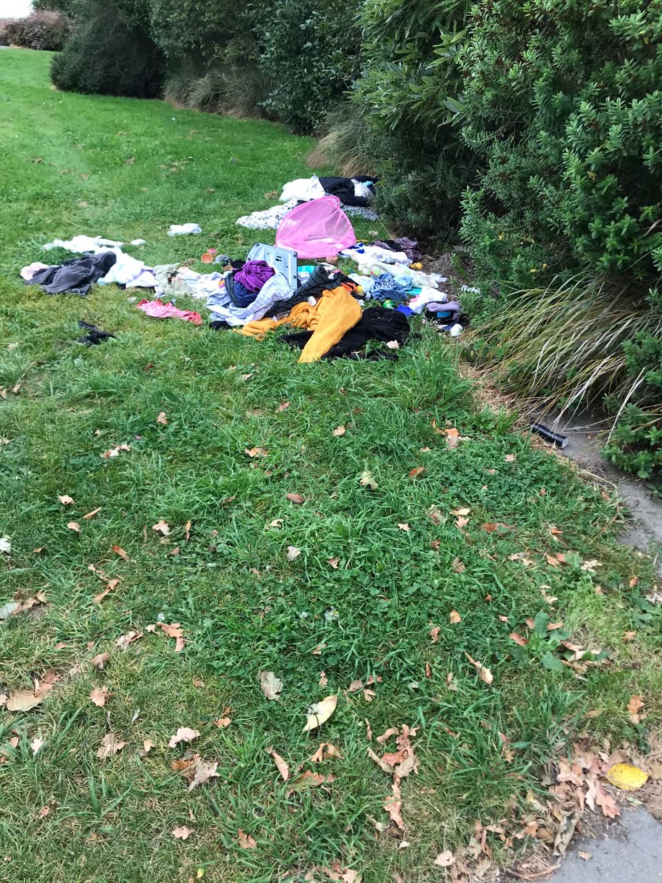The photograph attached to this rubbish/recycling report