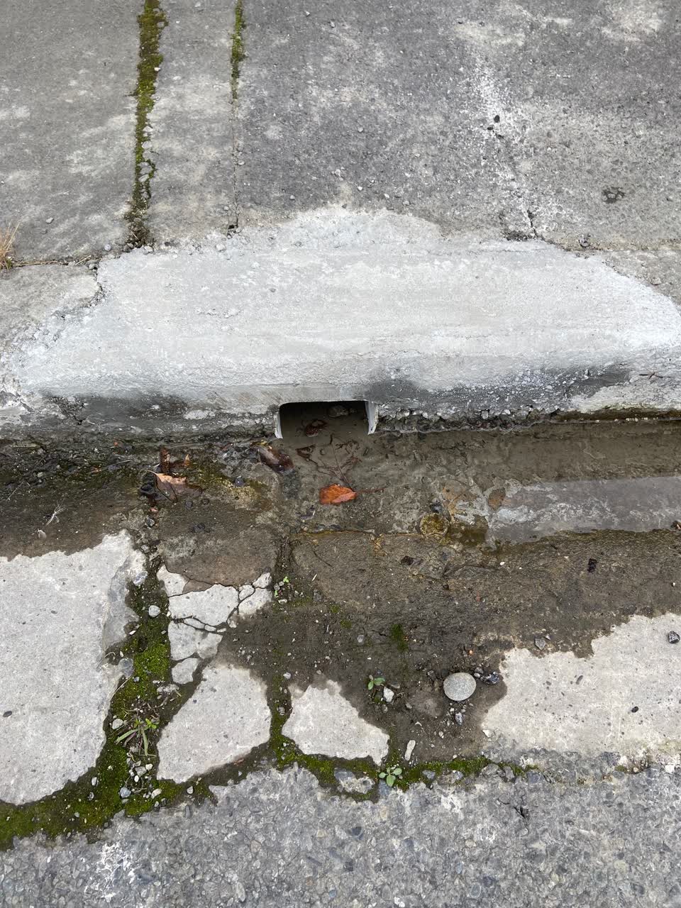 The photograph attached to this water leak report