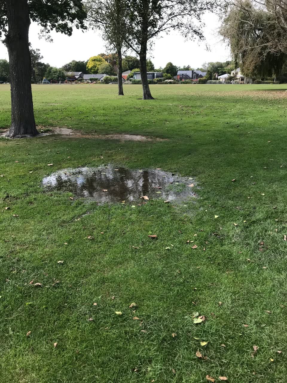 The photograph attached to this parks report