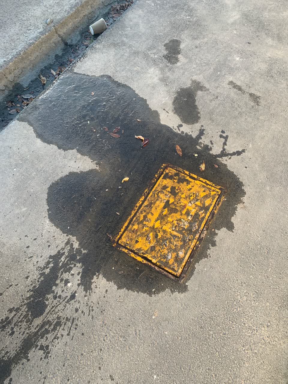 The photograph attached to this water leak report