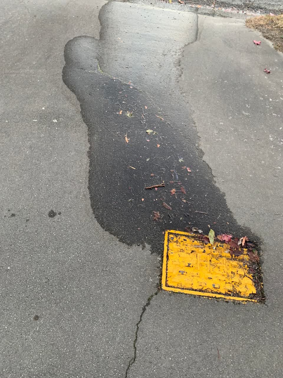 The photograph attached to this water leak report