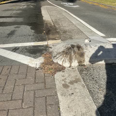 Roading/Streets, a report photo