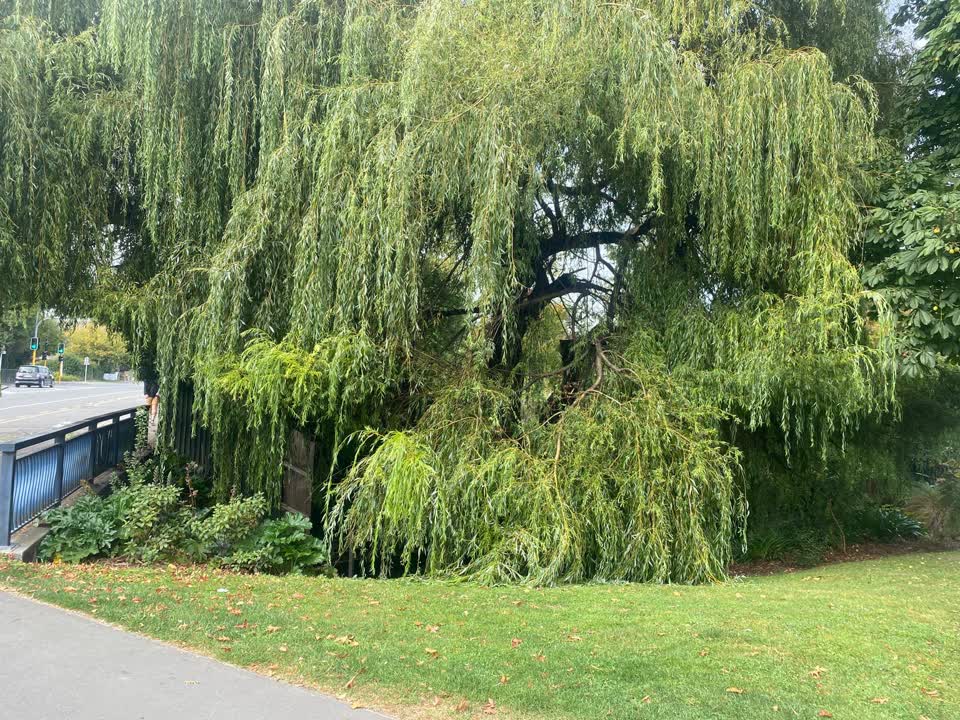 The photograph attached to this parks report